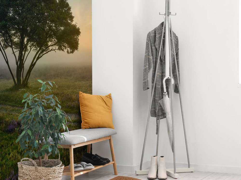 Alba sulla brughiera