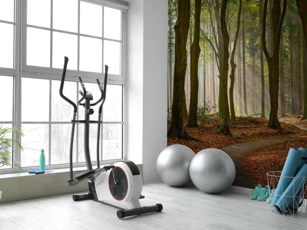 Raggi di sole al percorso attraverso la foresta