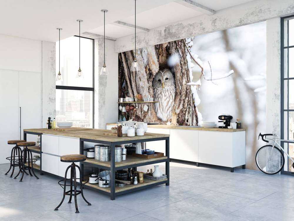 Gufo bianco in un albero cavo