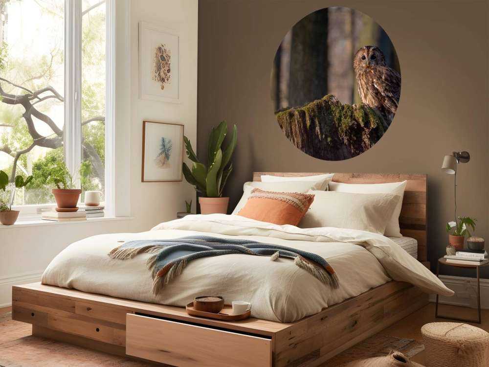 Piccolo gufo su un albero rotto