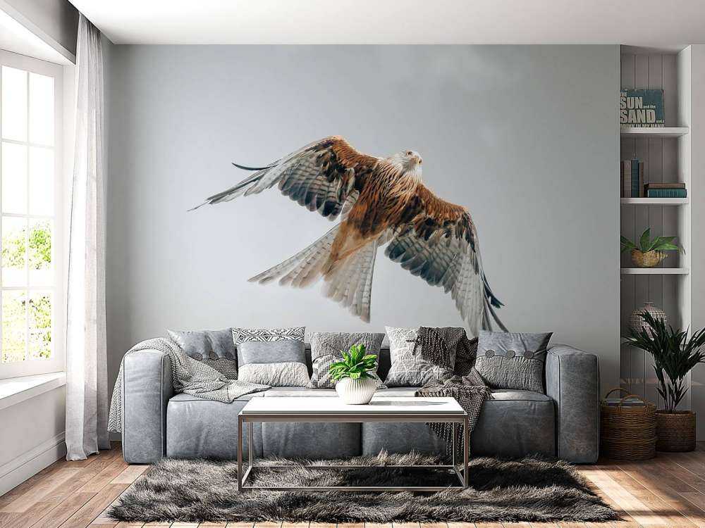 Aquilone rosso nel cielo