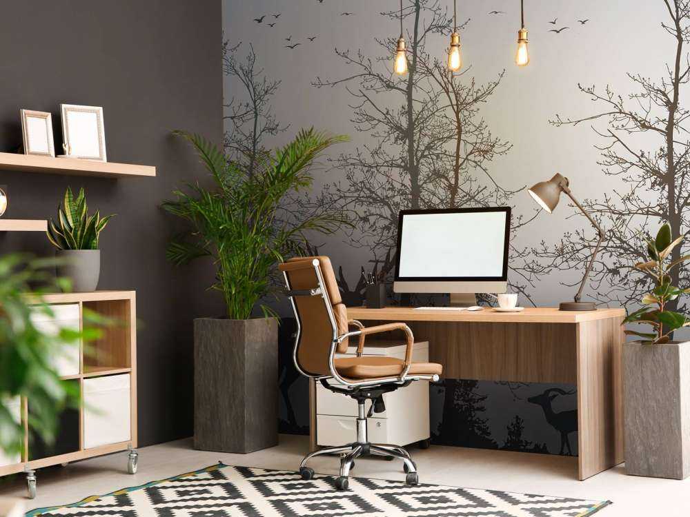 Contorno Invernale Silenzio della Foresta