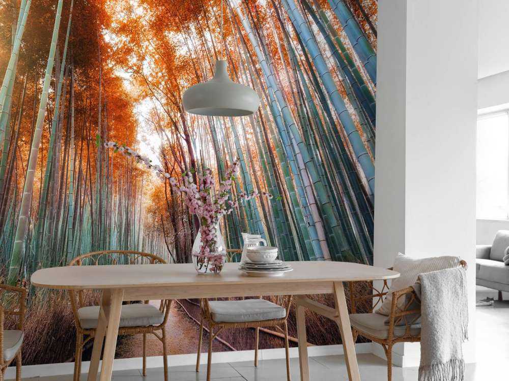 Autunno foresta di bambù