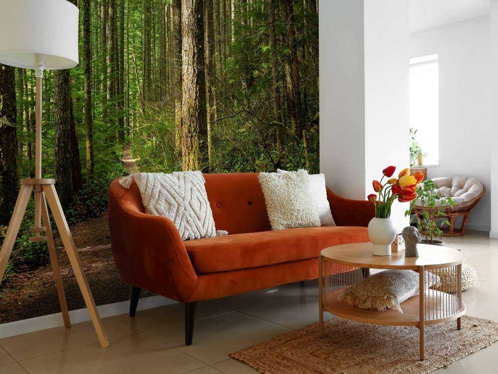 Sentiero nella foresta