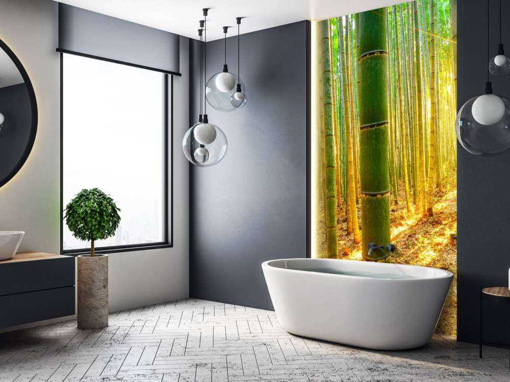 Foresta di bambù all'alba