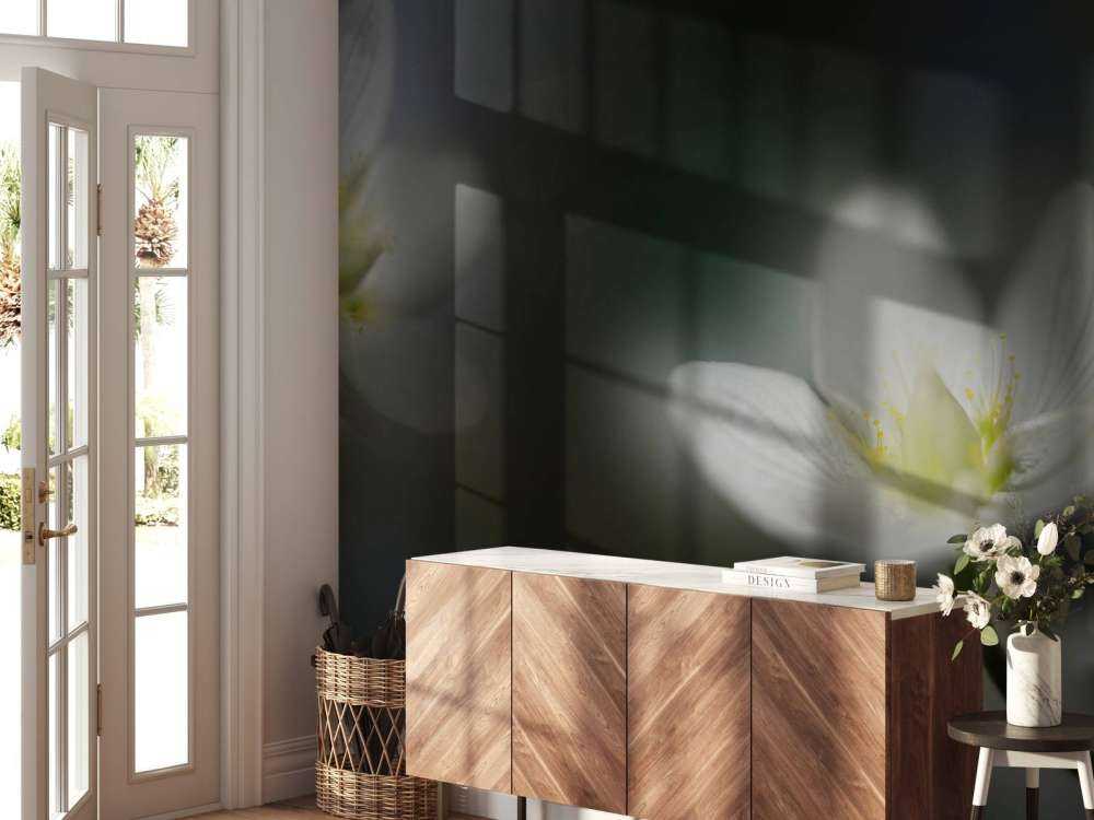 Light in the darkness