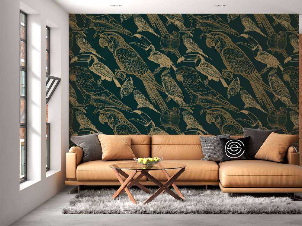 Pappagallo e modello Toucan