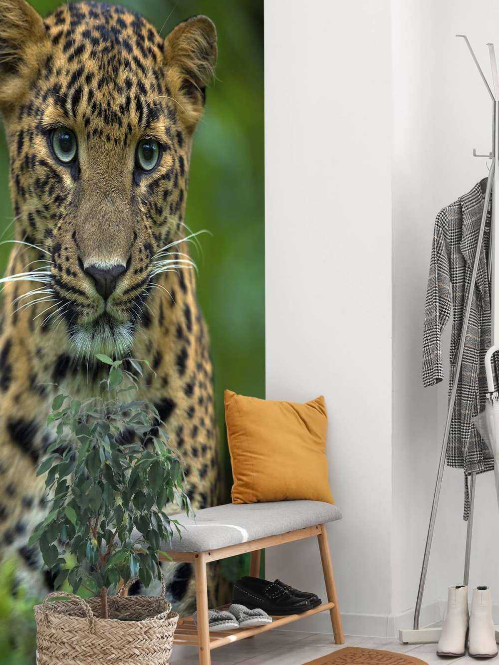 Focalizzato leopardo