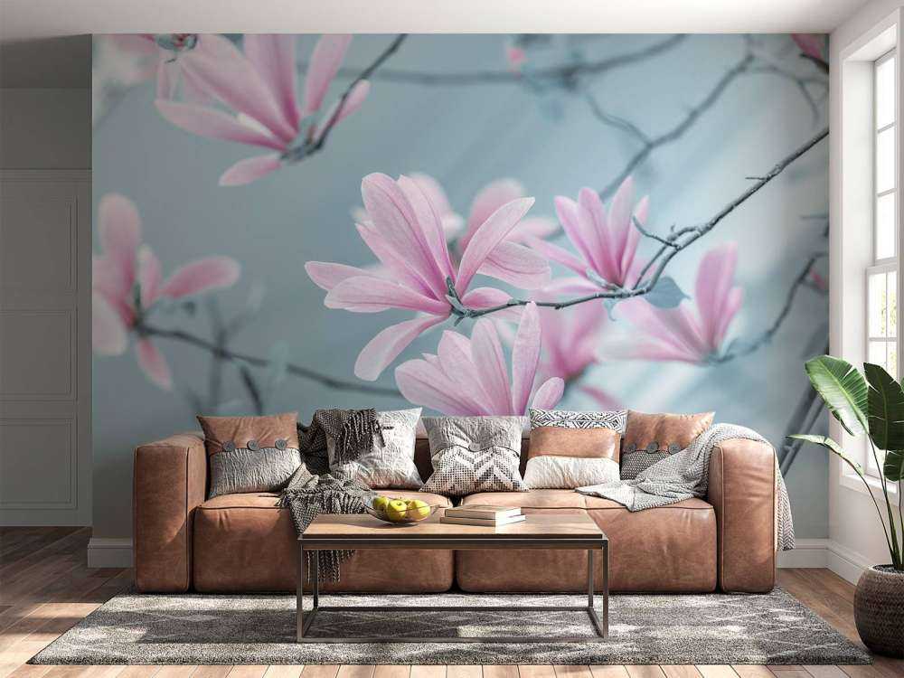 Fiori di magnolia