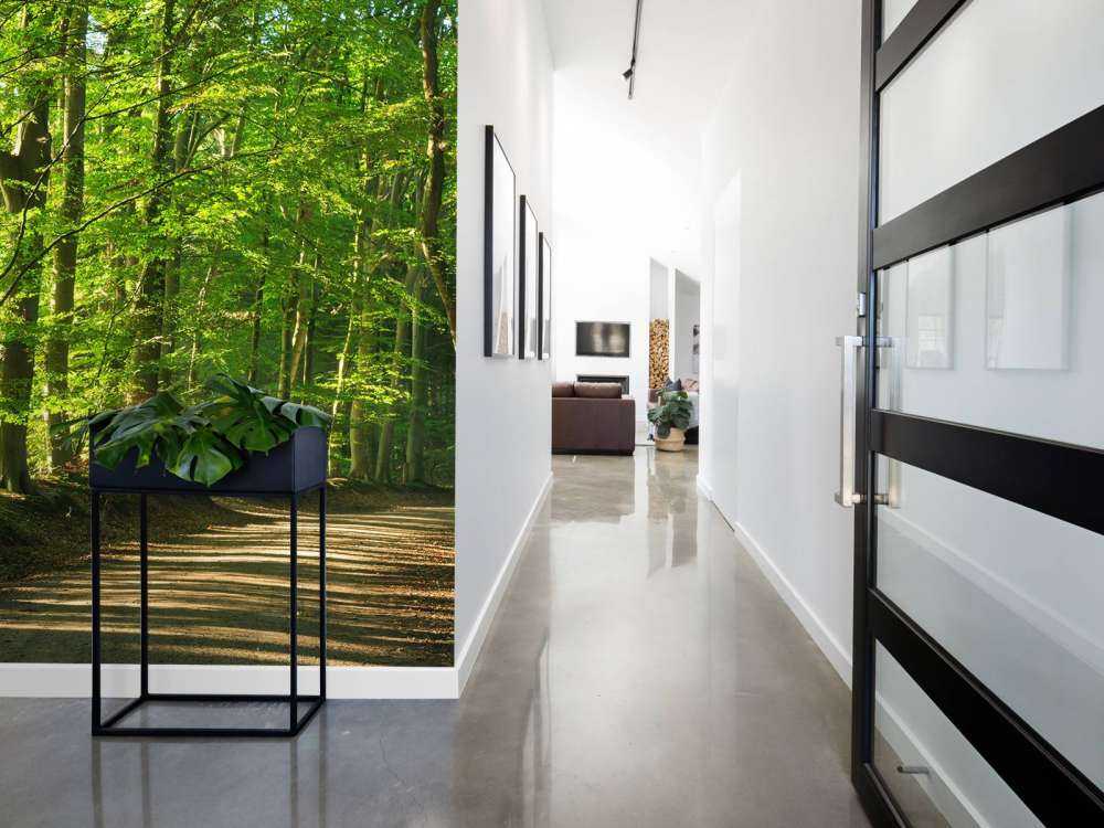 Strada soleggiata attraverso una foresta