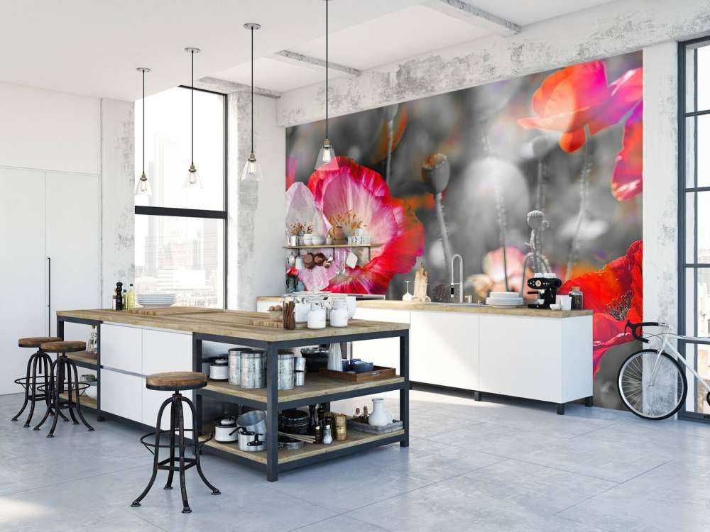 Papaveri in nero, bianco, rosso e nero