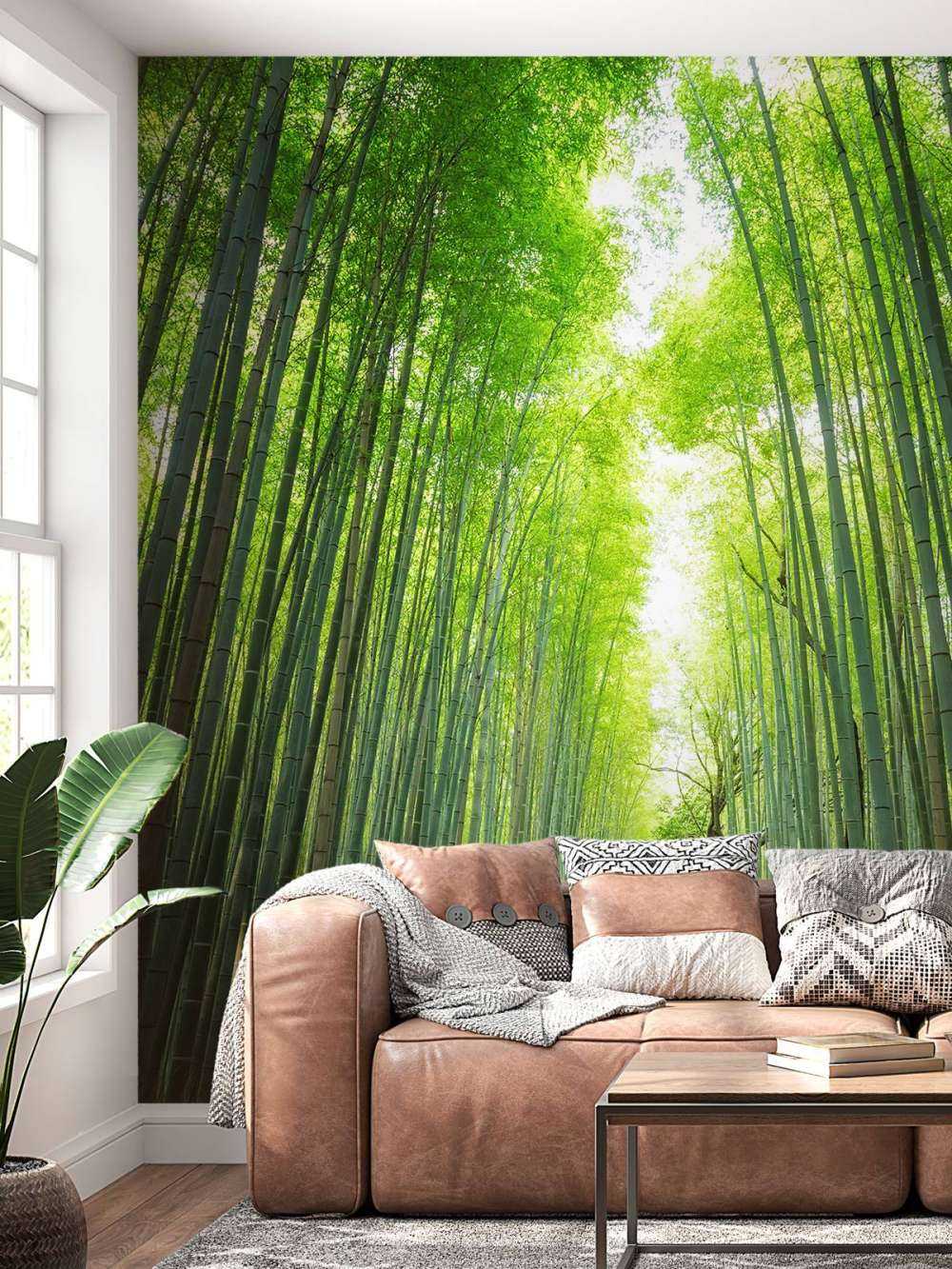 Sentiero attraverso il bambù