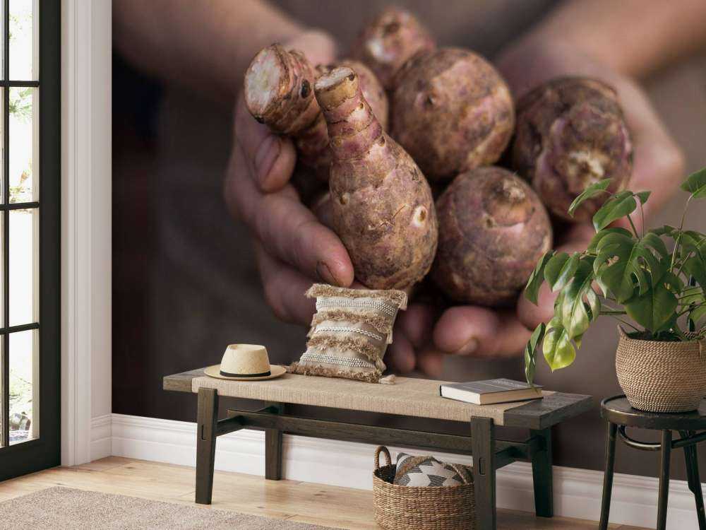 Prodotti della terra