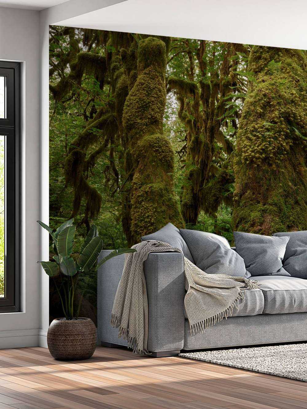 Alberi in una foresta pluviale