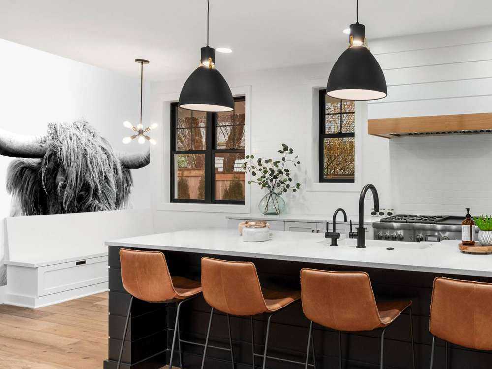 Divertente Highlander scozzese