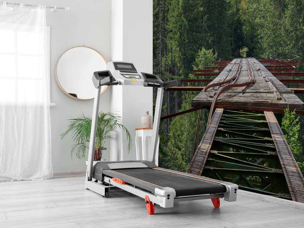 Vecchio ponte ferroviario