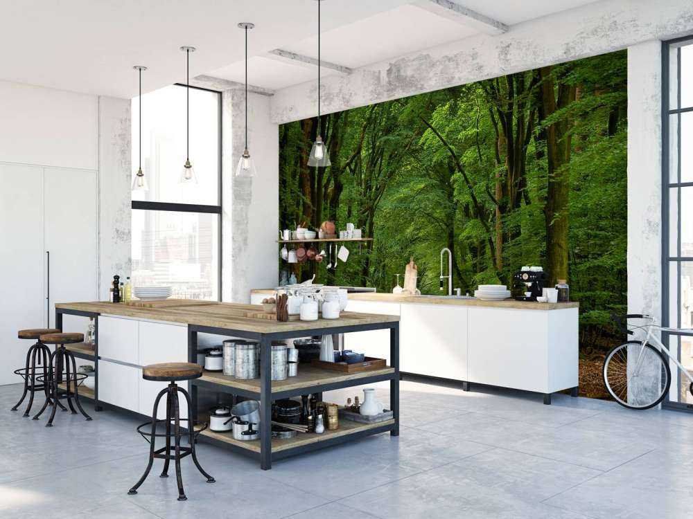 Strada nella foresta