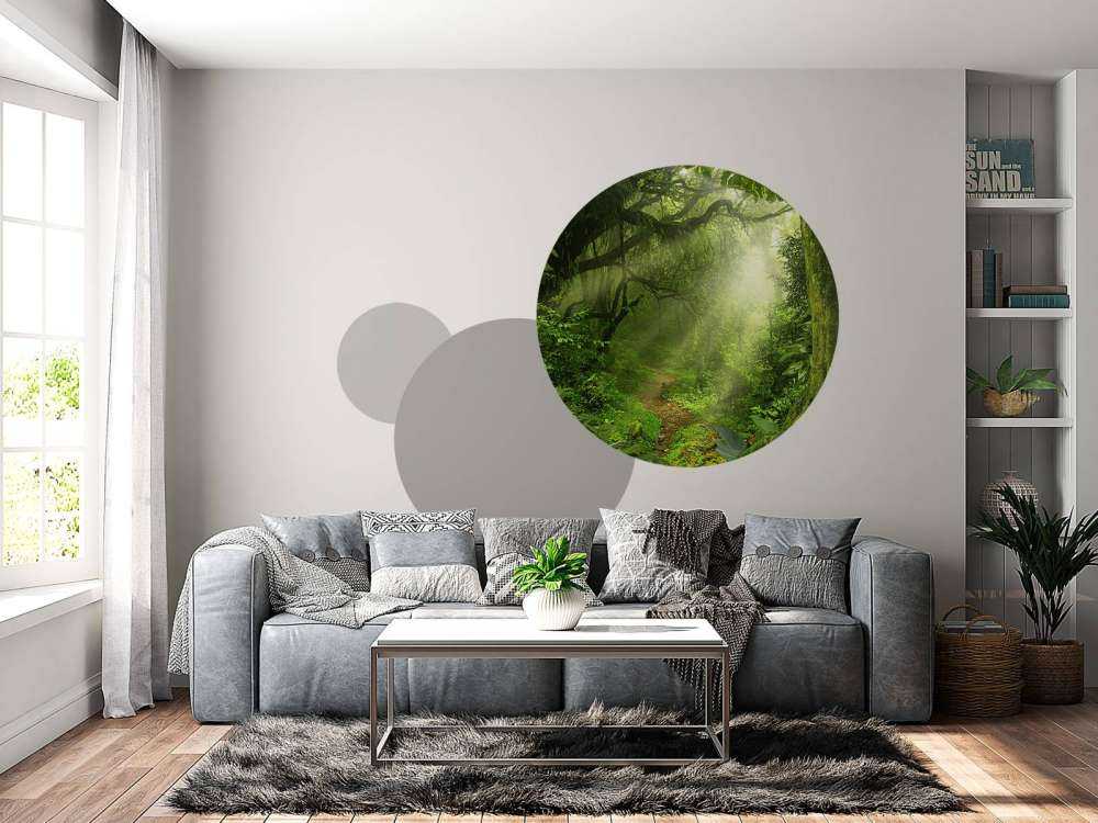 Giungla con raggi di sole