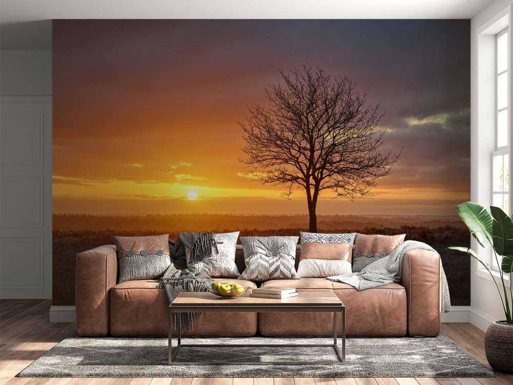 Alba colorata sulla brughiera