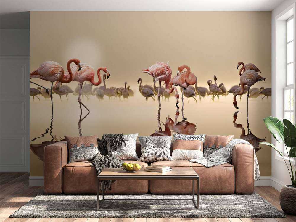 Flamingo Family