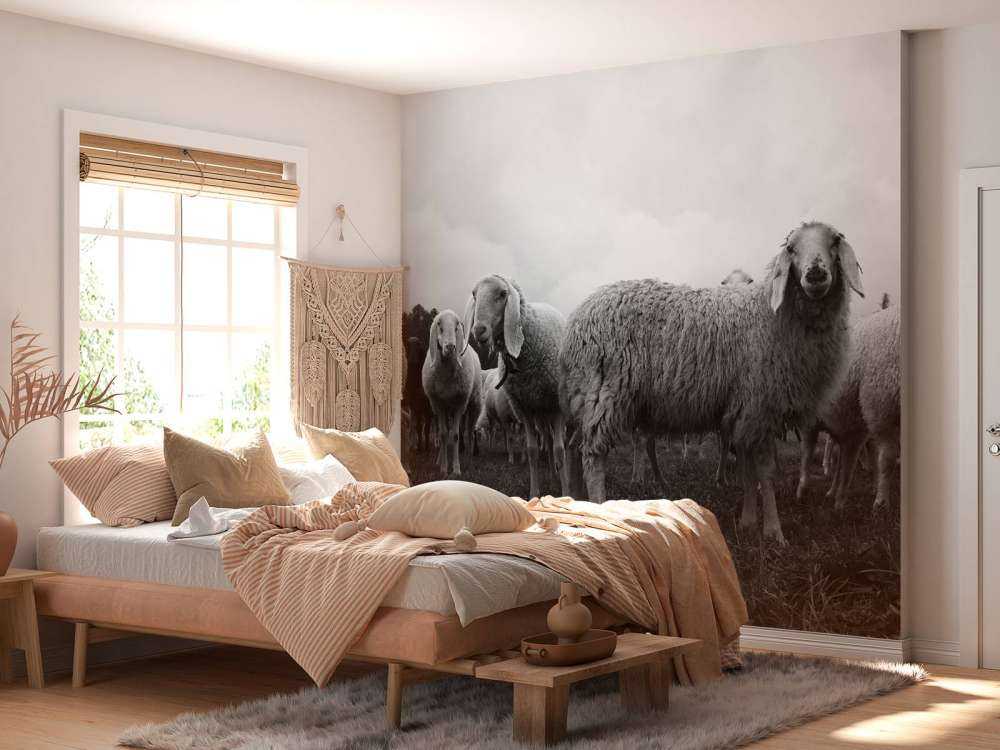 Gregge di pecore in bianco e nero