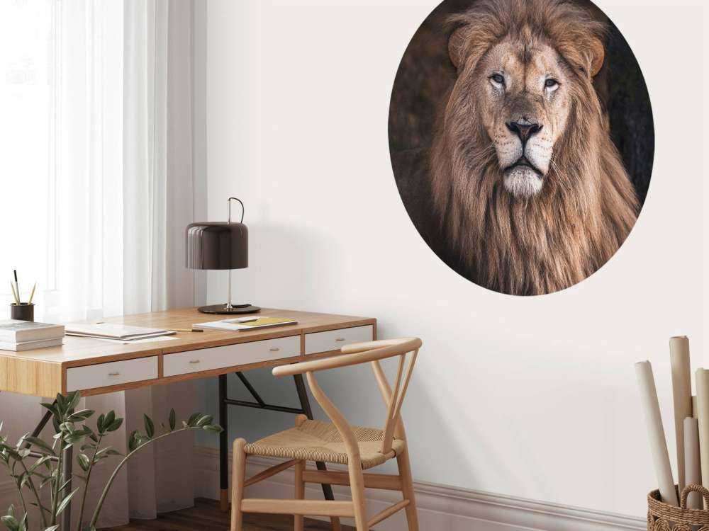 Ritratto di un leone