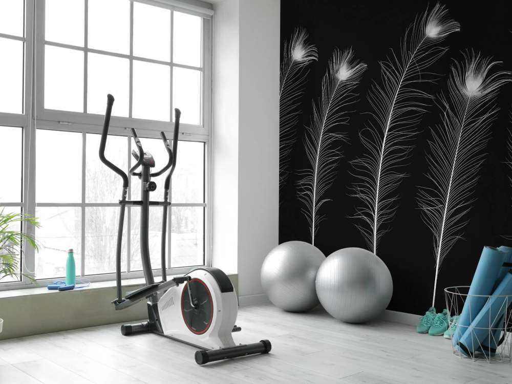 Piume di pavone bianche