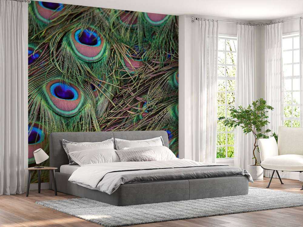 Primo piano di piume pavone