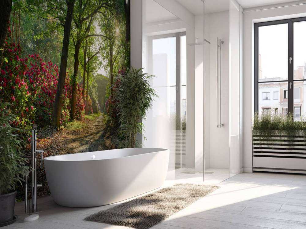 L'alba al sentiero con i rododendri