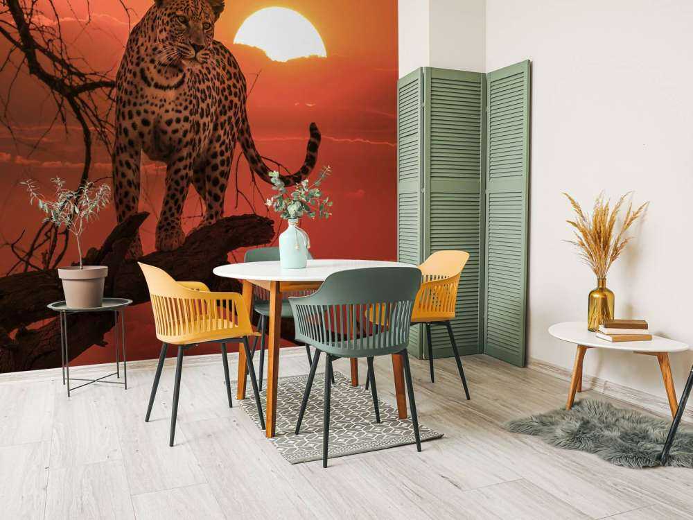 Leopardo con sole al tramonto