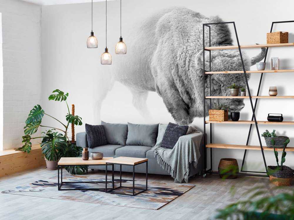 Bisonte bianco e nero