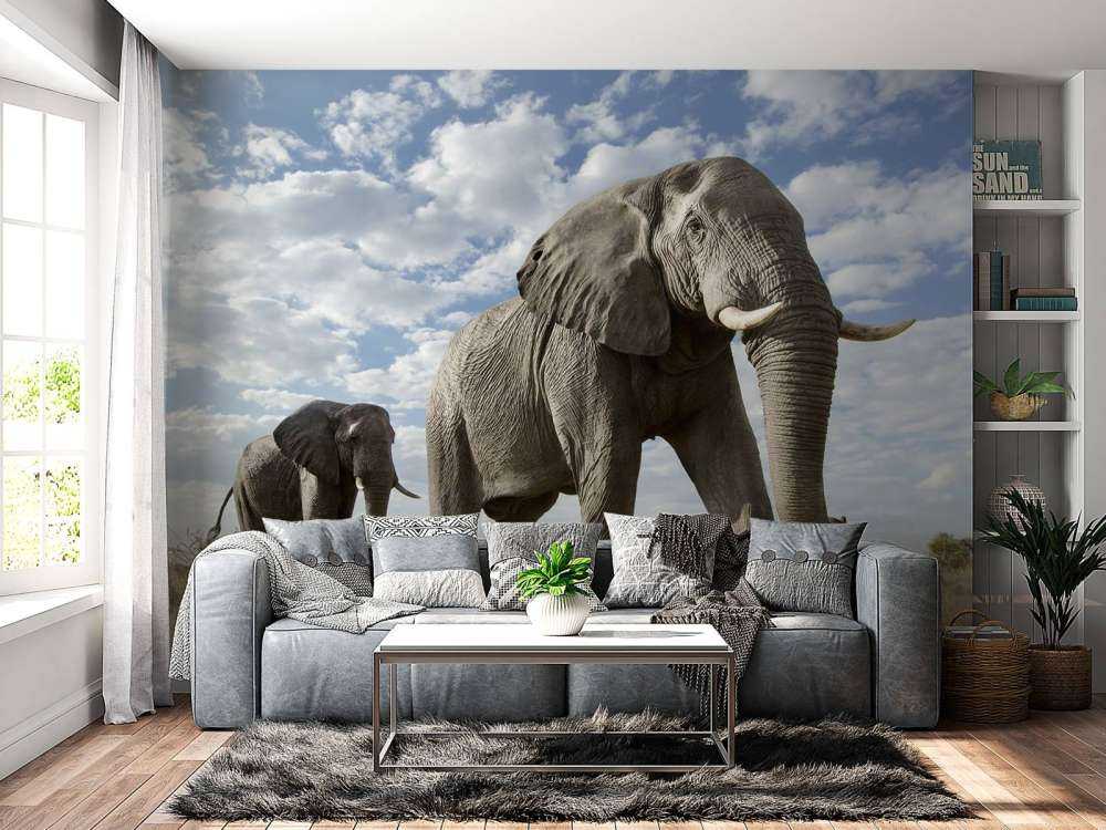 Elefanti di passaggio