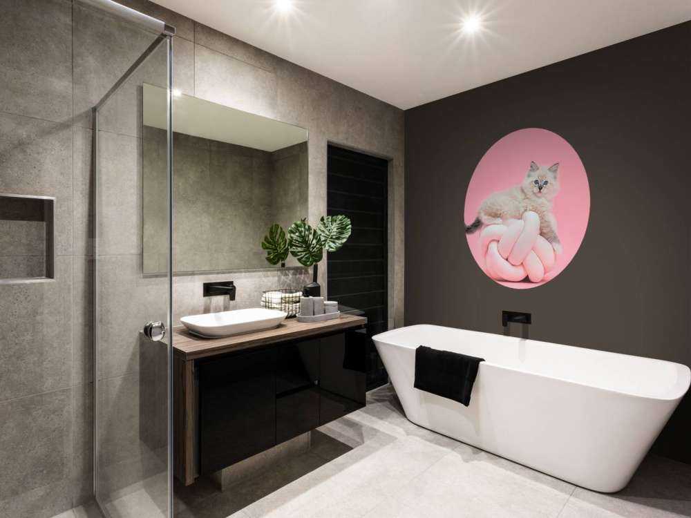 Gatto bianco su sfondo rosa