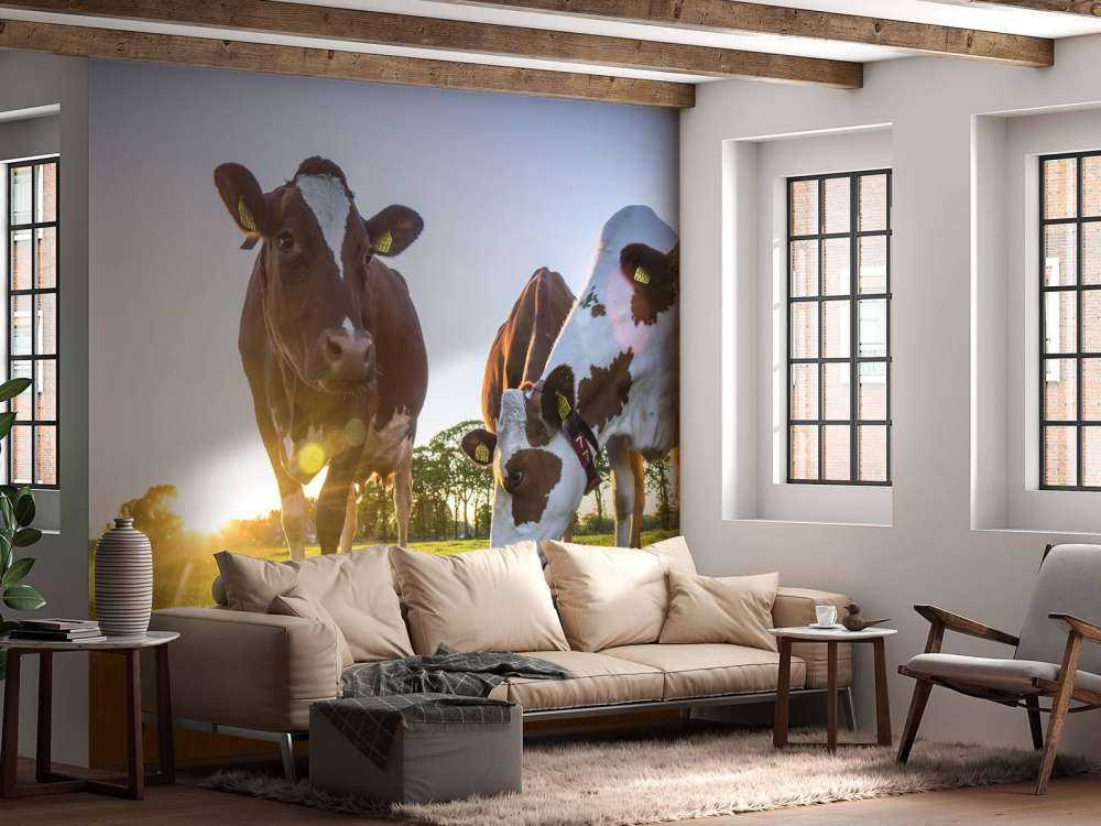 Carta da parati per mucche