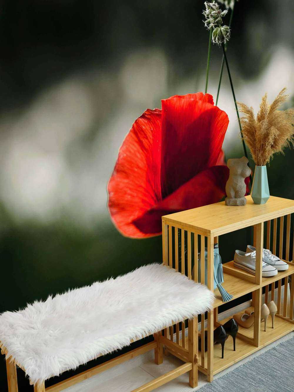 Papavero rosso con erba