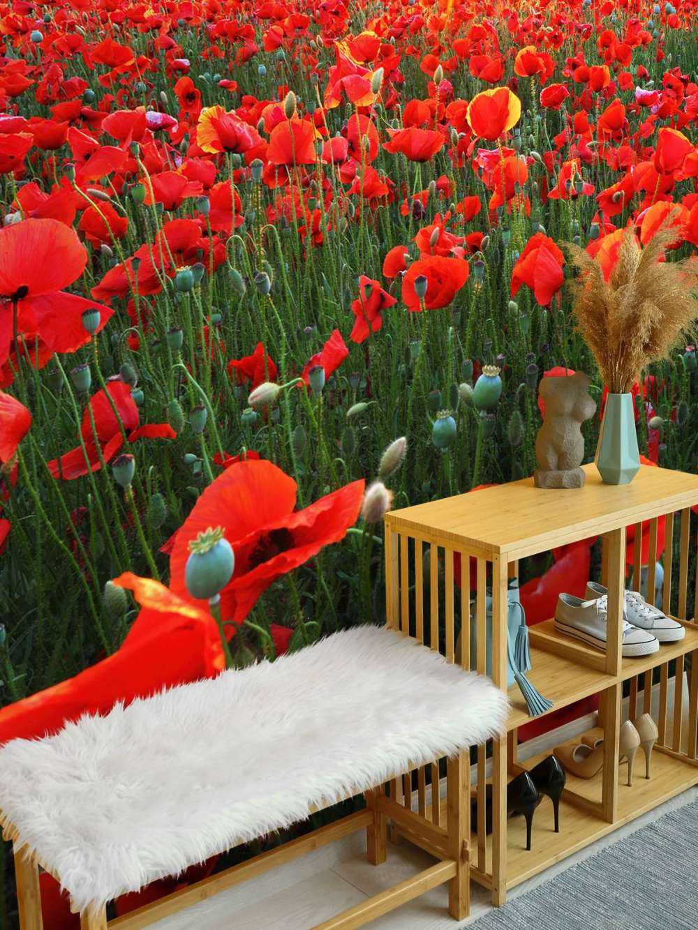 Papaveri al tramonto