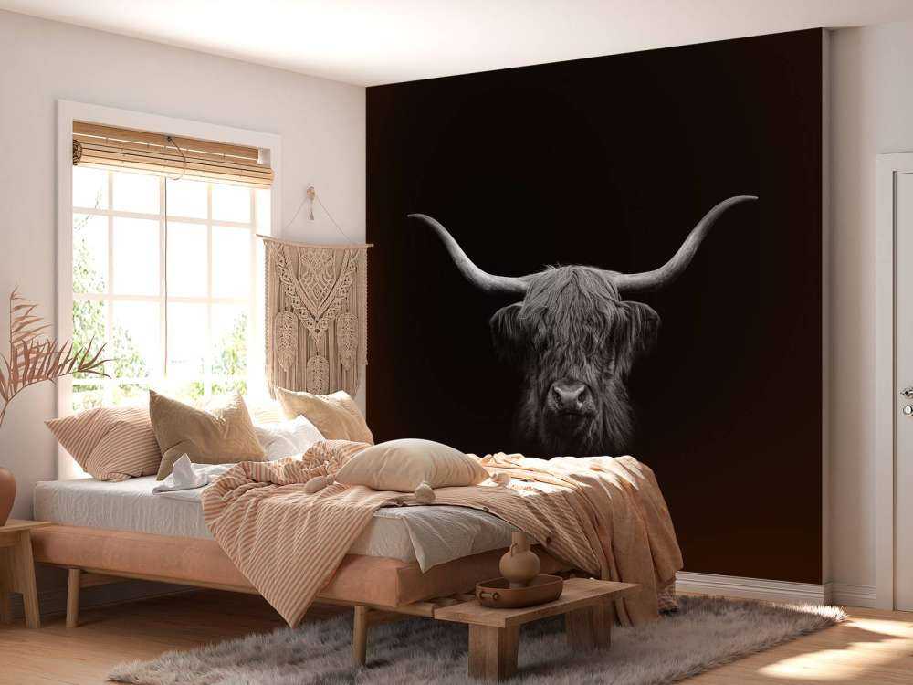 Highlander scozzese in bianco e nero