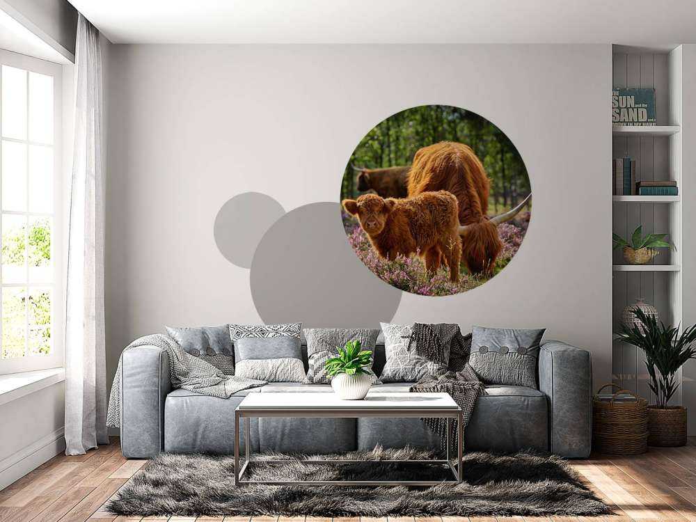 Famiglia Scozzese Highlanders