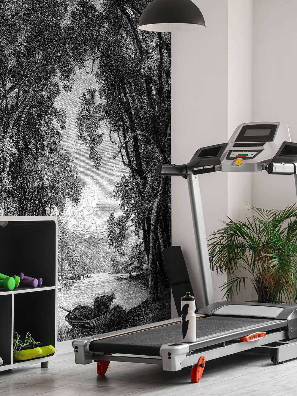 Vecchio fiume nella giungla