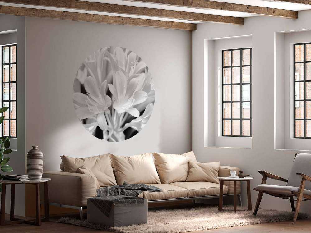 Fiori in fiore, bianco e nero