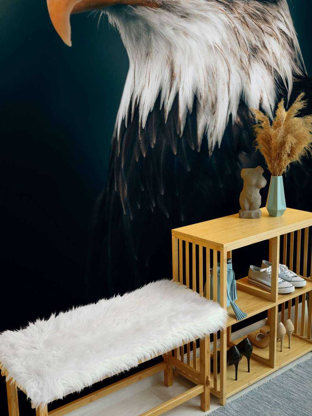 Aquila di mare primo piano