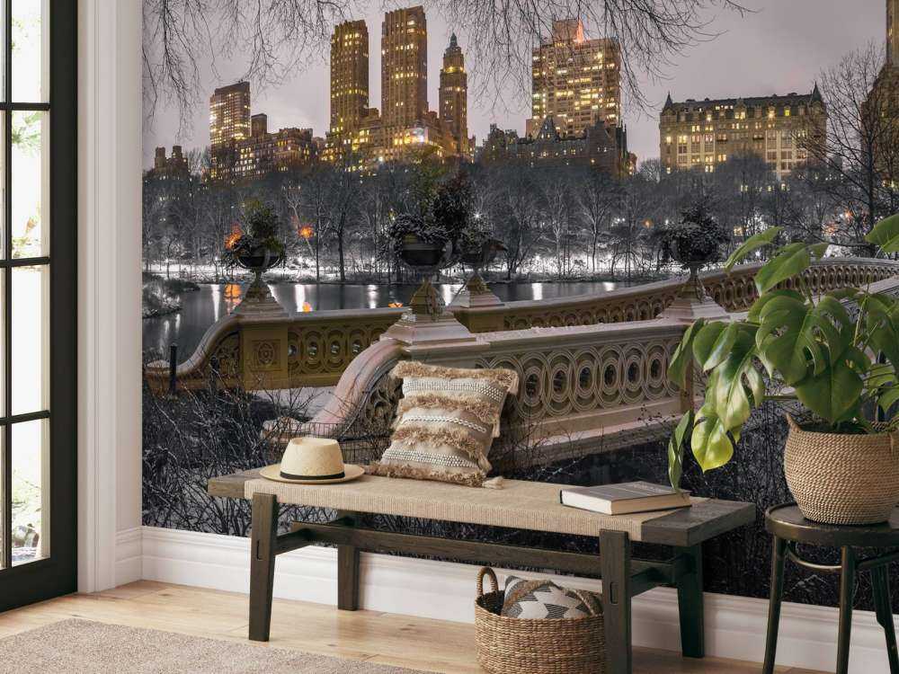 Central Park e Manhattan