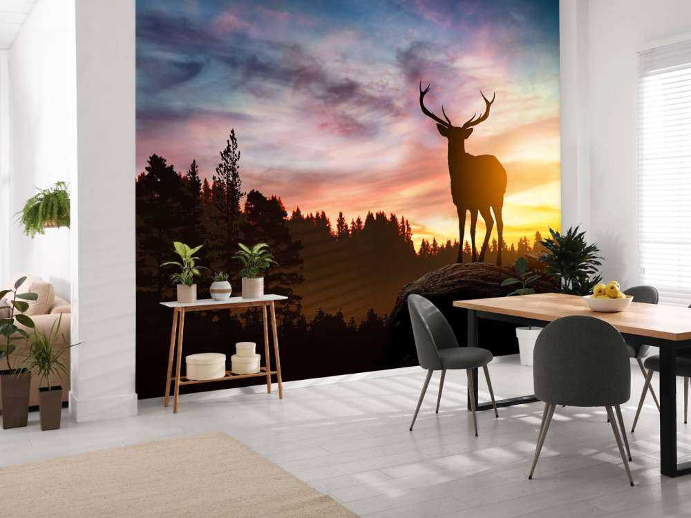 Cervo con tramonto