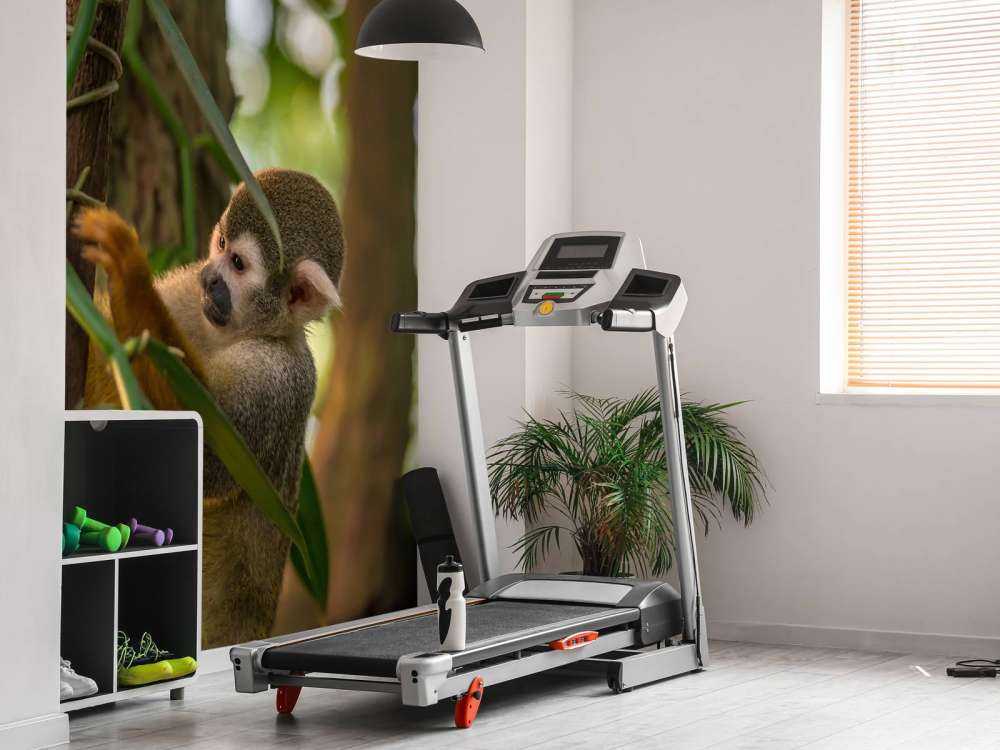 Piccola scimmia tra gli alberi