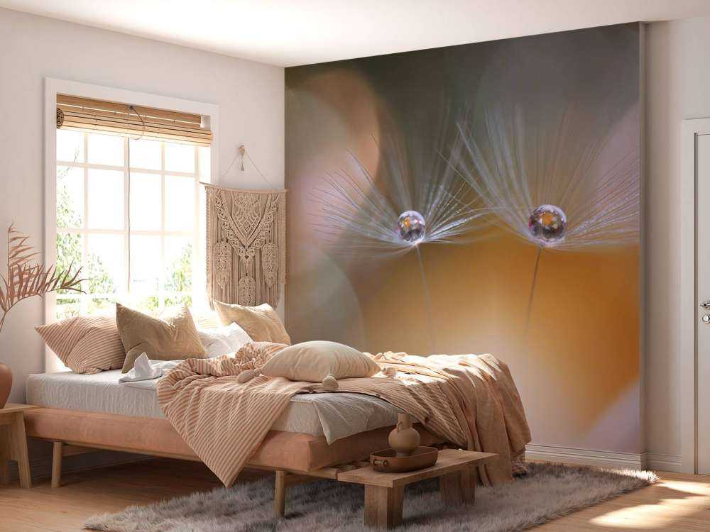 Semi di dente di leone