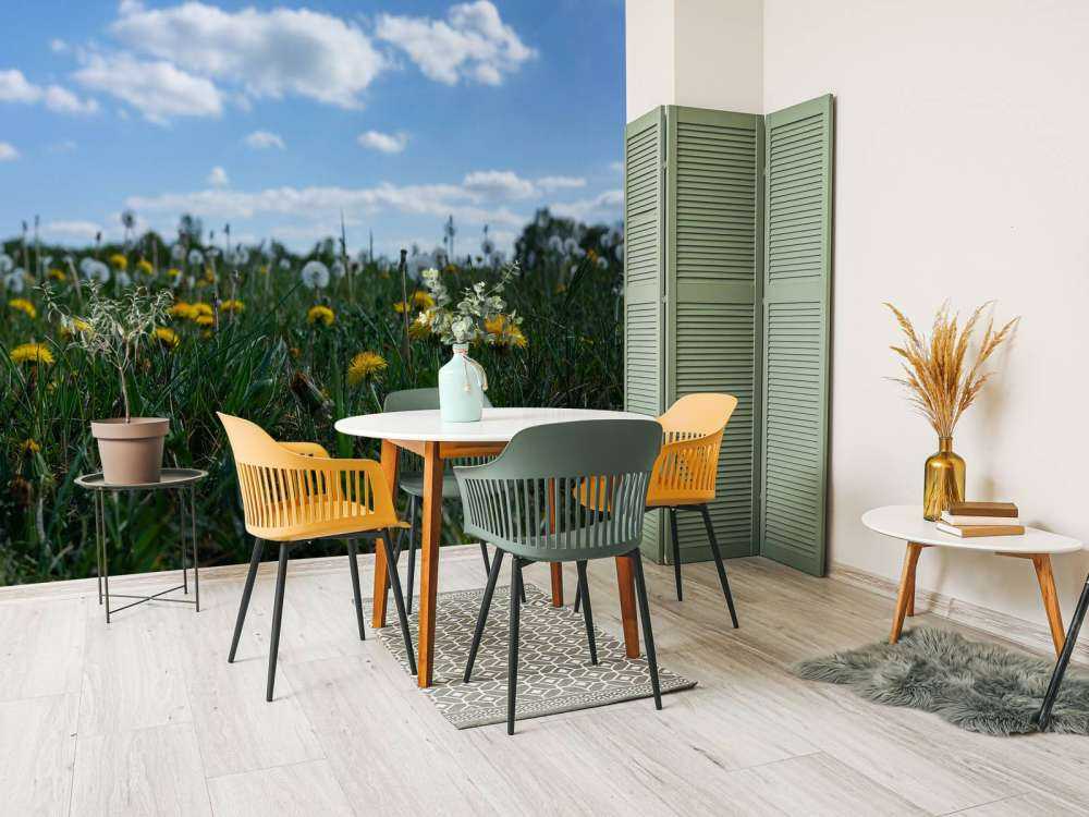 Denti di leone gialli