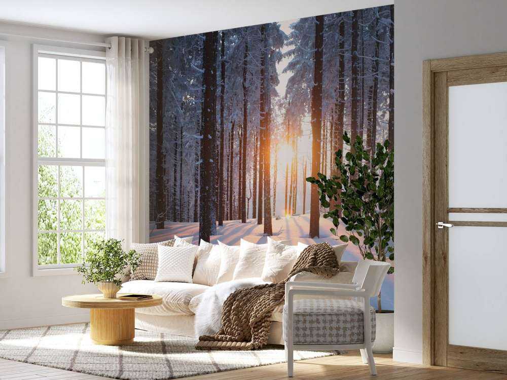 Tramonto in una foresta invernale