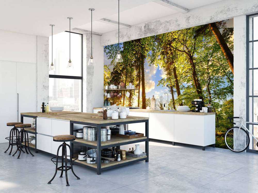 Tramonto tra gli alberi