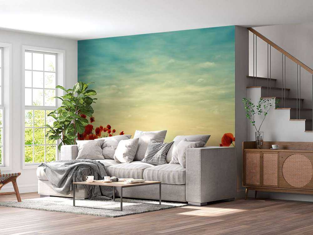 Papaveri con tramonto