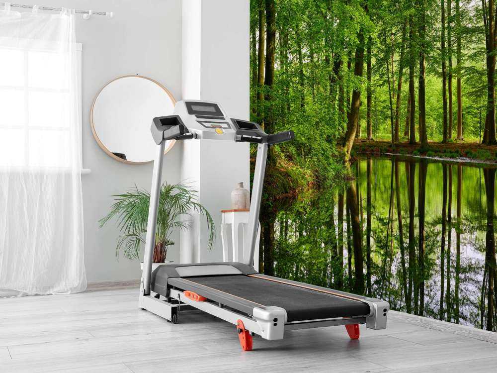 Riflessione di alberi in acqua